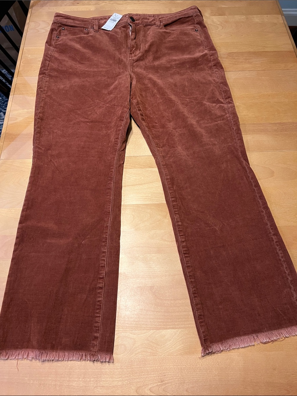 American Eagle 20 Long NWT - high rise crop flare corduroy pants